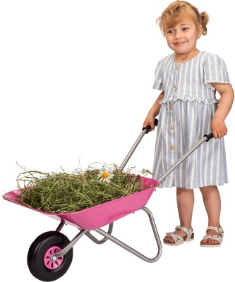 Carretilla Metalica de Jardin Juguete Rosa